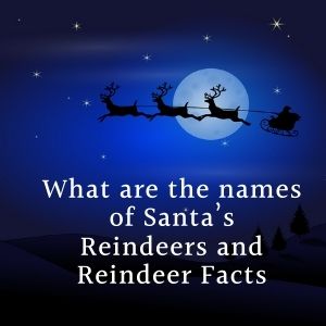 What Are The Names Of Santa’s Reindeers And Reindeer Facts