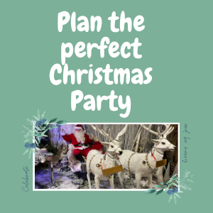 Plan the perfect Christmas Party