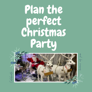 Plan The Perfect Christmas Party