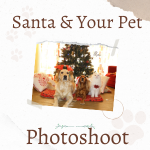 hire santa for a pet photoshoot