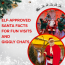 Elf approved santa facts