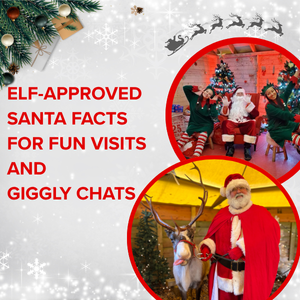 Elf approved santa facts