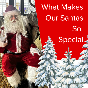 what clients say about santas
