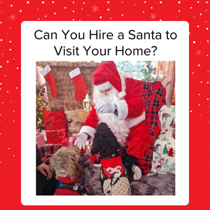 Hire Santa for home visit