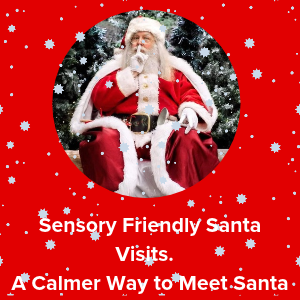sensory santa visits - Envisage